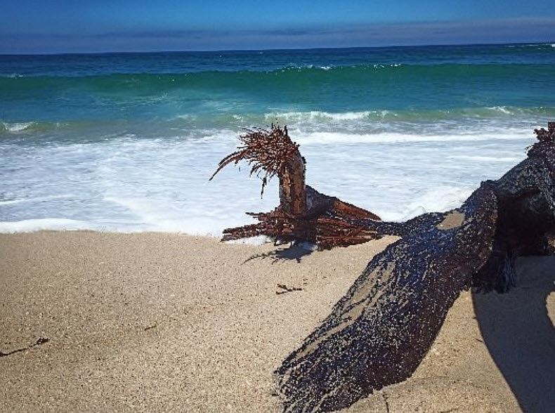 Praia do Palheirão, Tocha, Portugal, Portugal